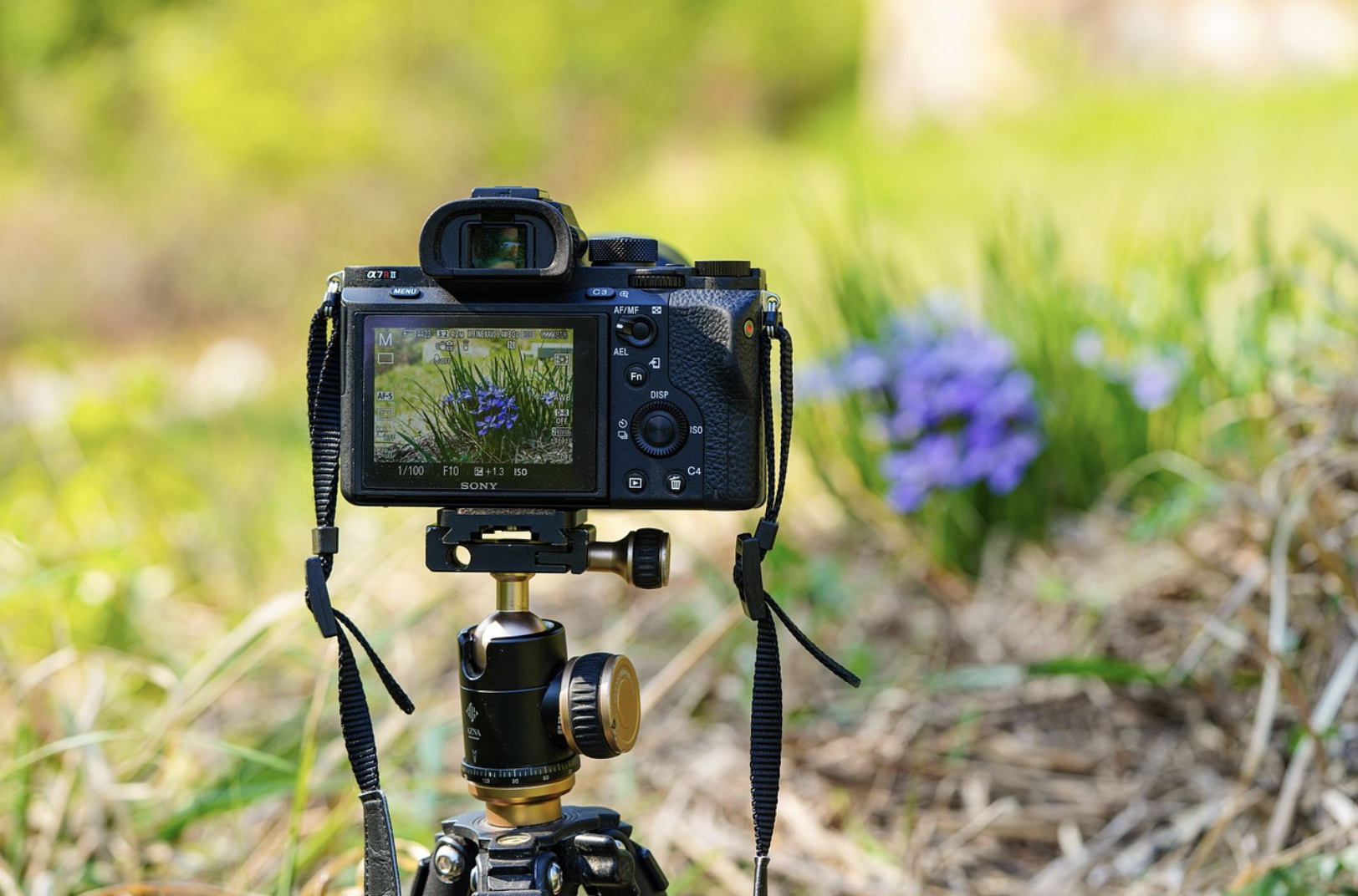 camera on tripod